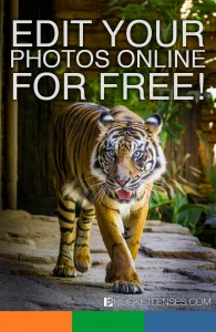 Edit your photos online for free!