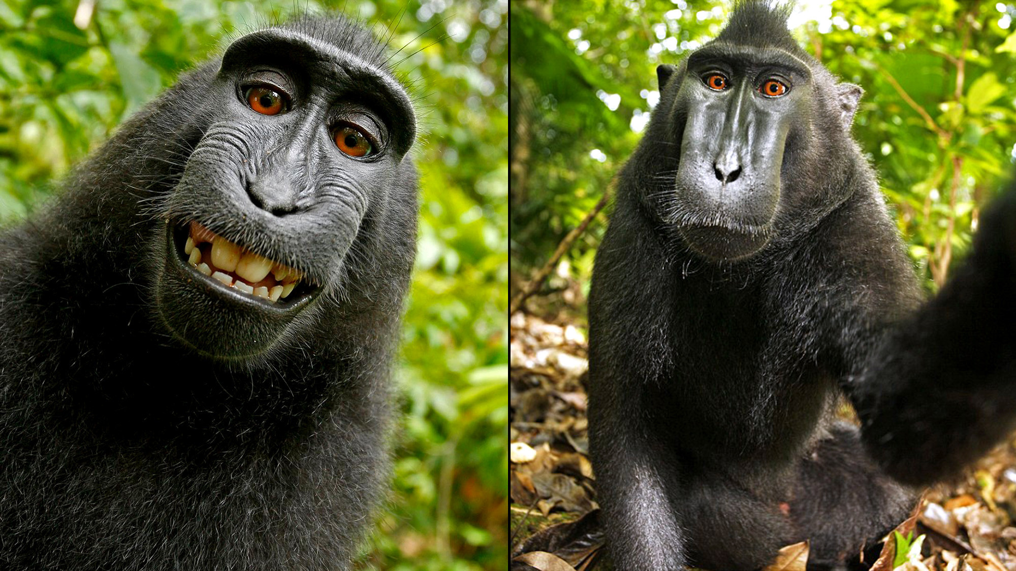 How To Take Good Selfies Pocket Lenses