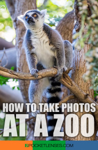 zoo photos