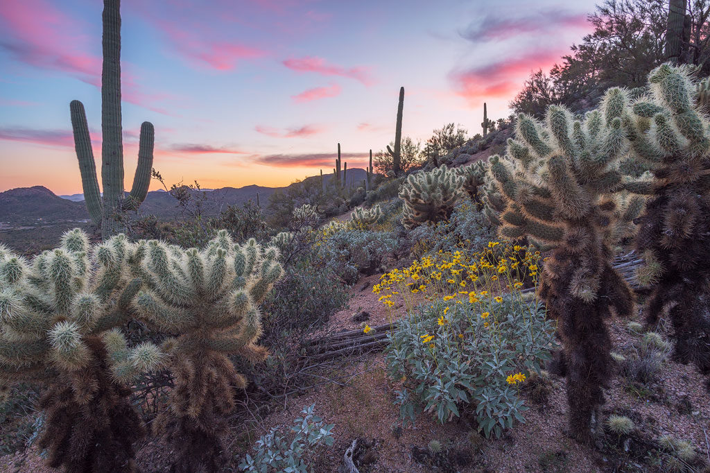 desert-sunset-1024