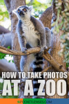 zoo photos